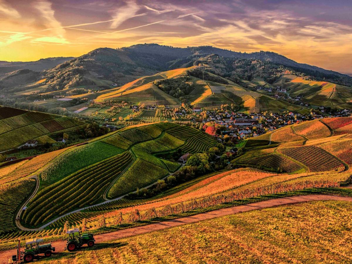 Everyday Reflections on Change and&nbsp;Awakening