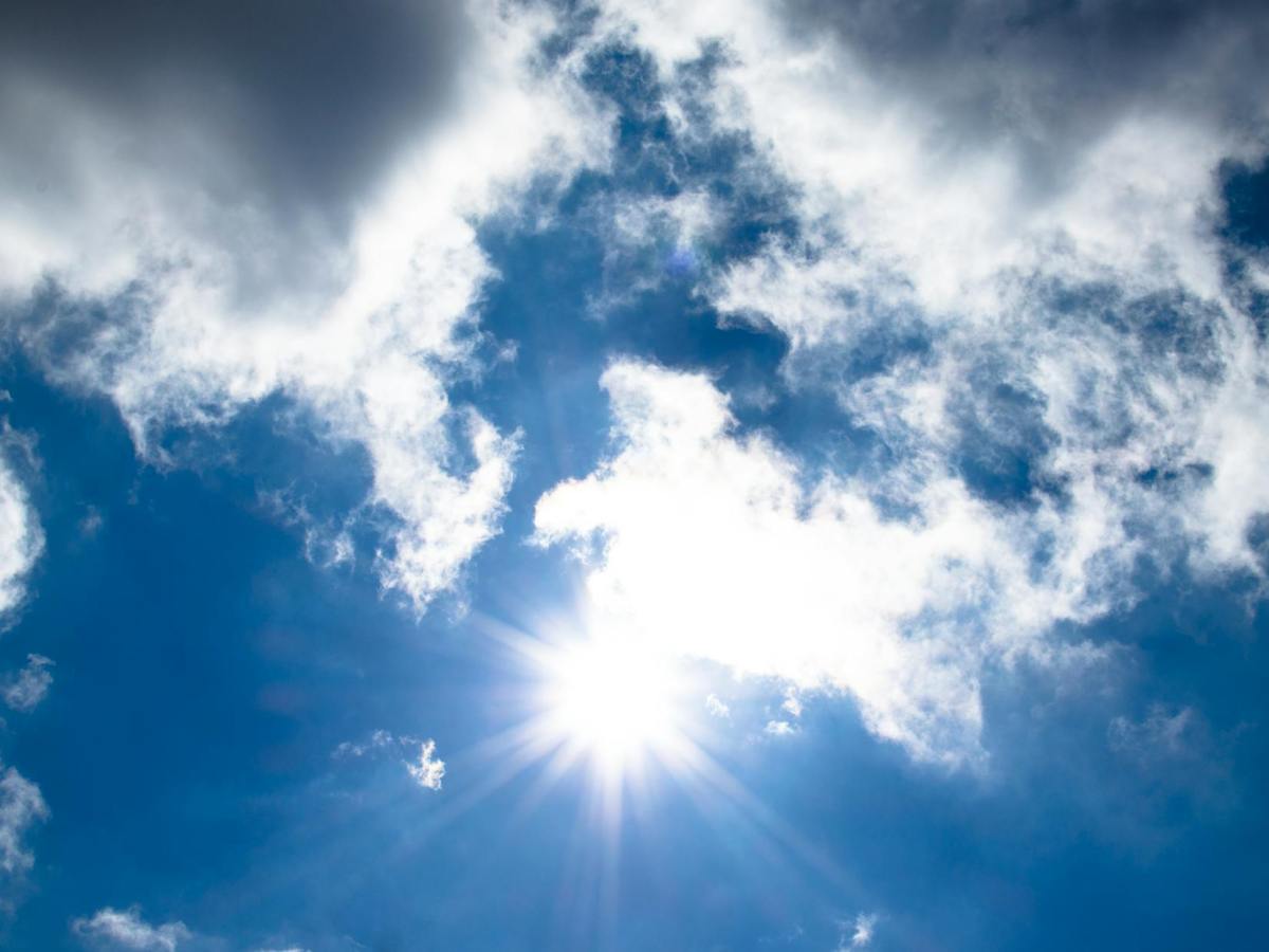 The Measure of True&nbsp;Understanding