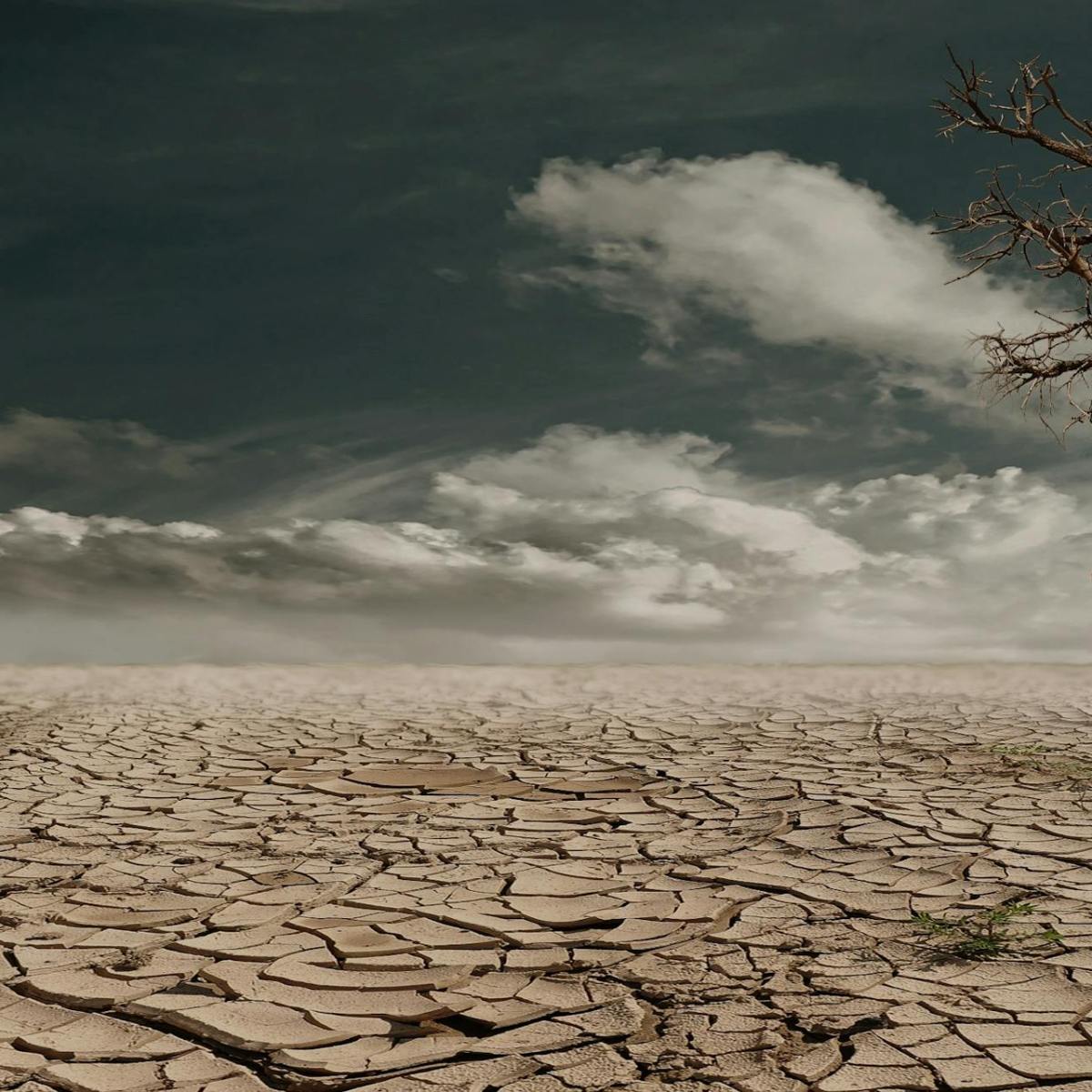 The Dry Earth&nbsp;Listens