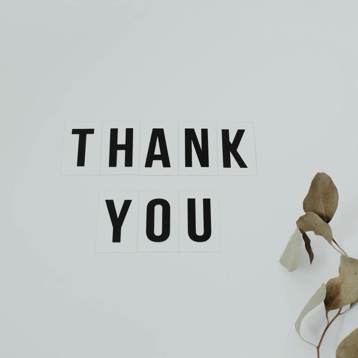 The Clear-Bright Path: A Qingming Story with Buddhist&nbsp;Heart