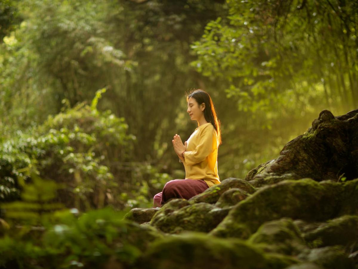 Healing Through the Four Noble&nbsp;Truths