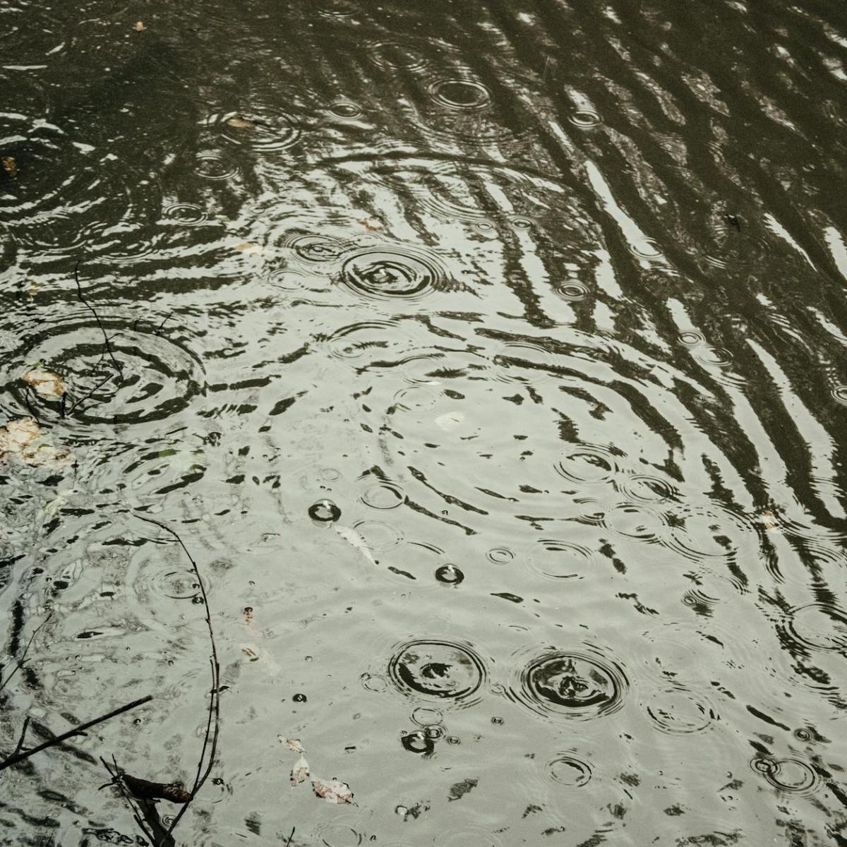 The Lesson of&nbsp;Impermanence