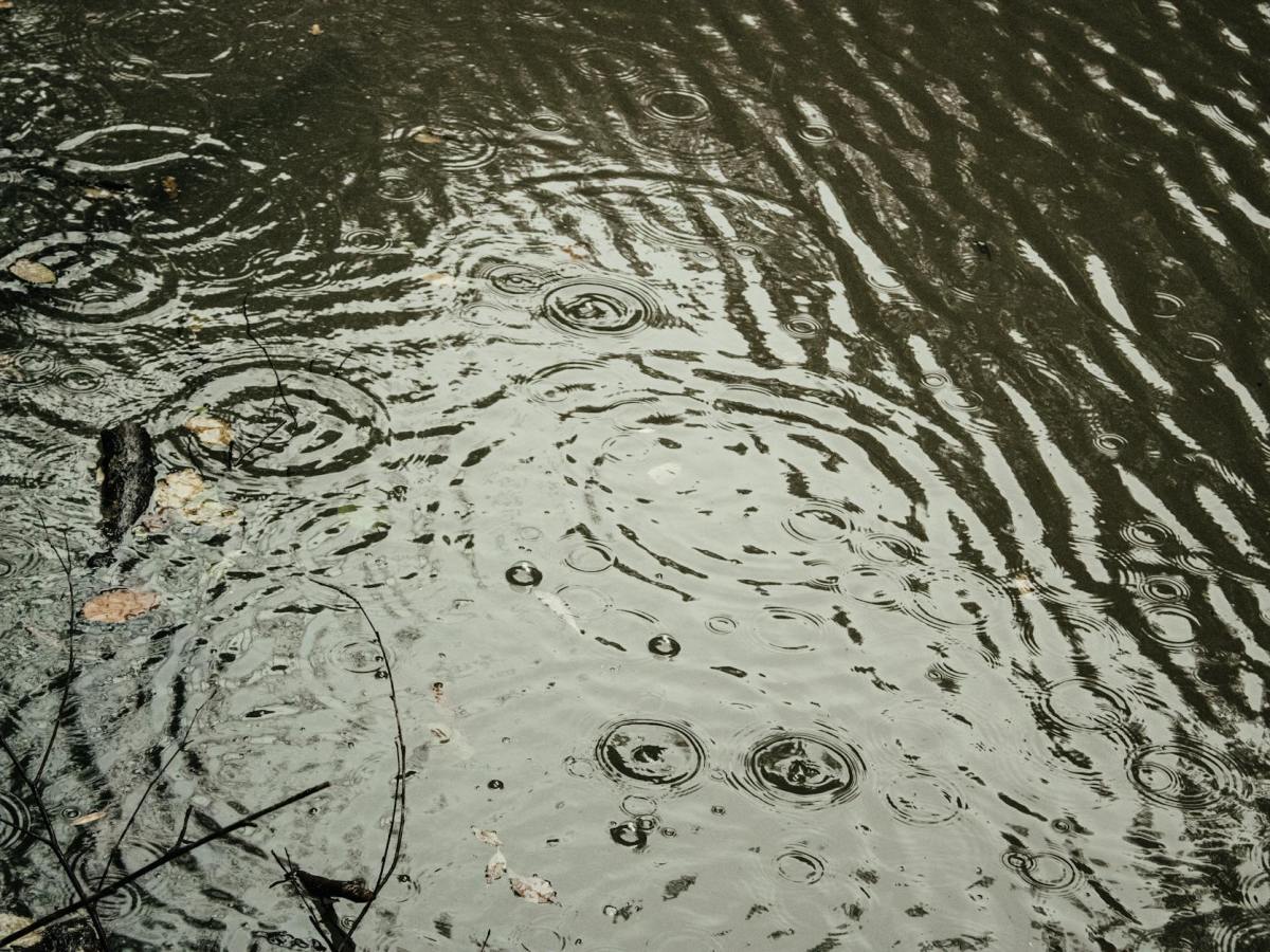 The Lesson of&nbsp;Impermanence