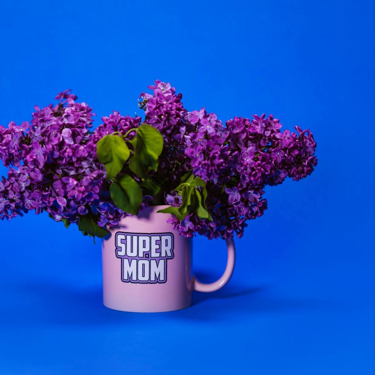 Mother’s Day: A Story of Impermanence and&nbsp;Love