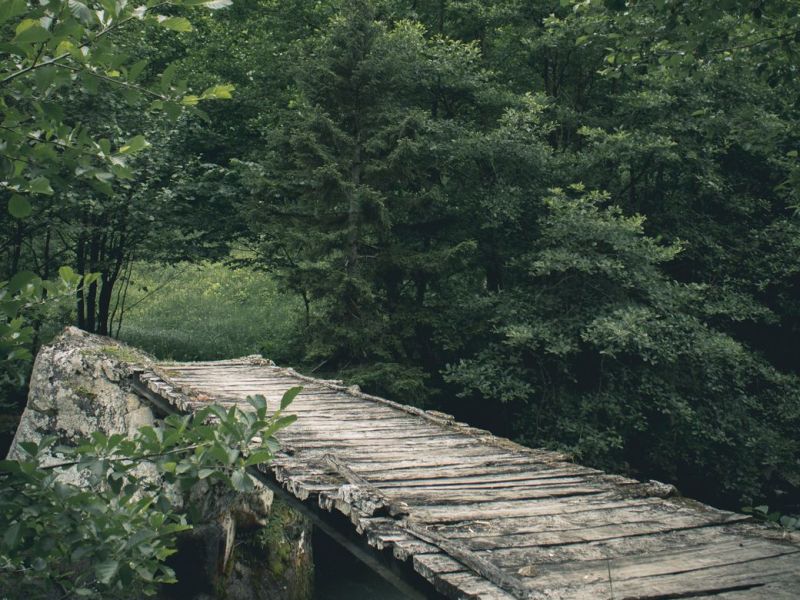 The Bridge My Father&nbsp;Built