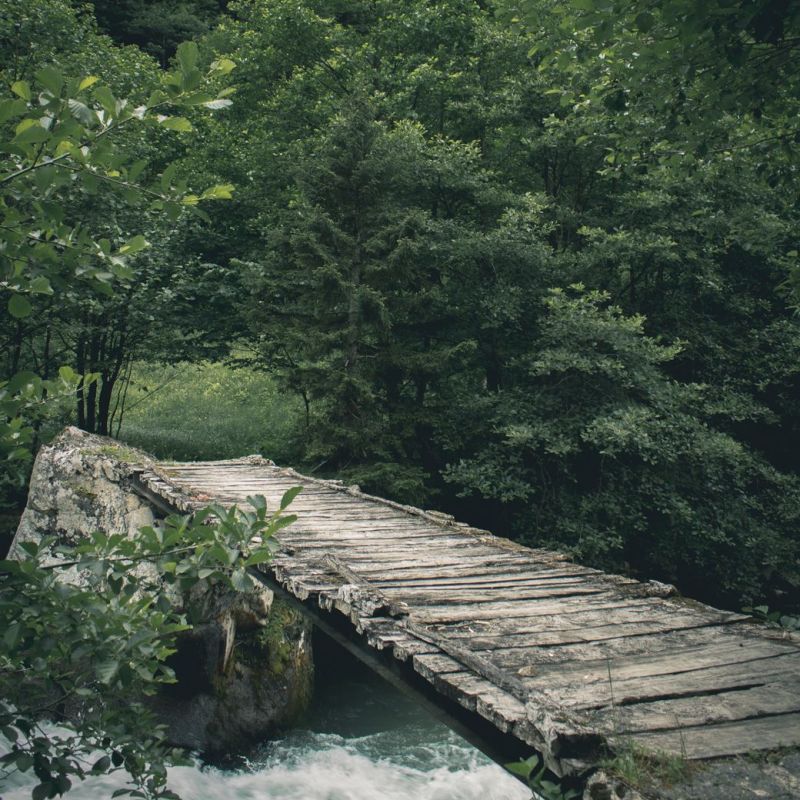 The Bridge My Father&nbsp;Built