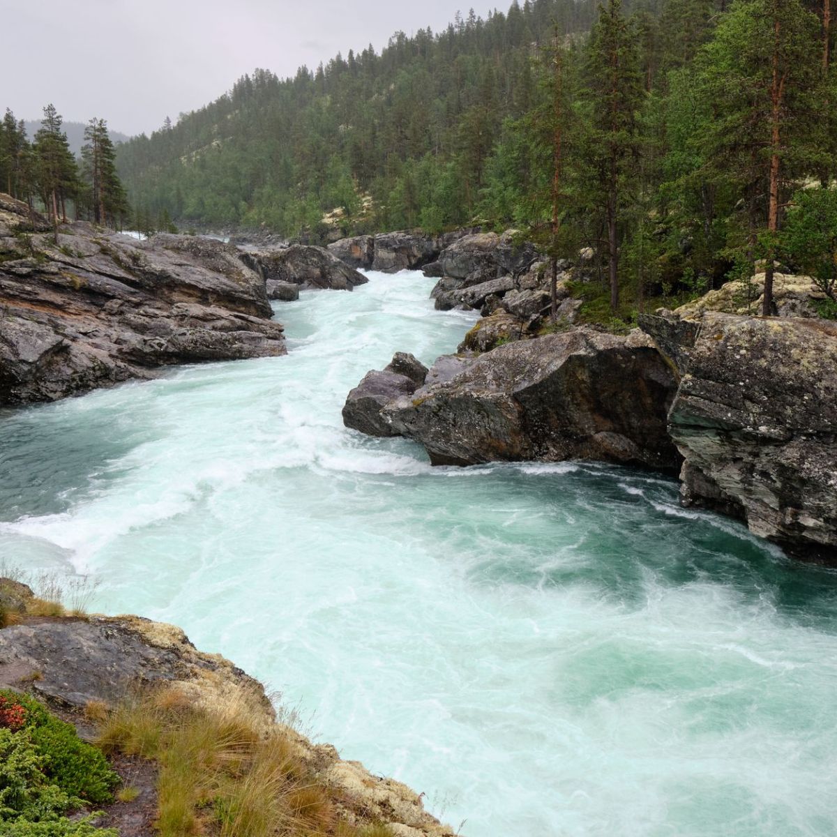 The Eight Unshakable&nbsp;Strengths